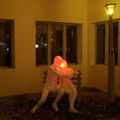 Reservations Not Necessary