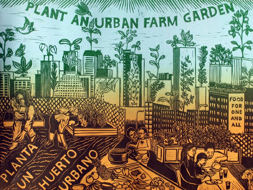 Plant An Urban Farm Garden 